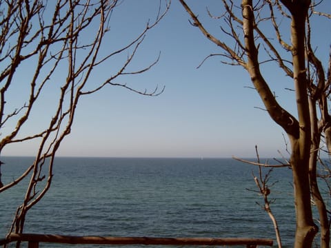 FeWo1 Apartment in Mecklenburg-Vorpommern, Germany