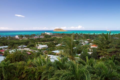 Natural landscape, Beach, Sea view