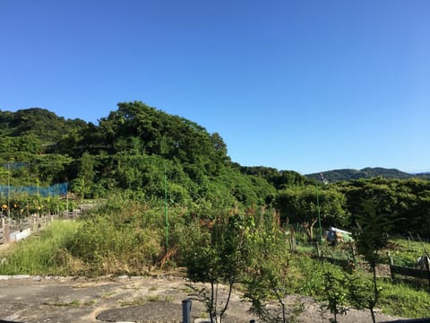しまなみゲストハウス南風荘 Bed and Breakfast in Hiroshima Prefecture