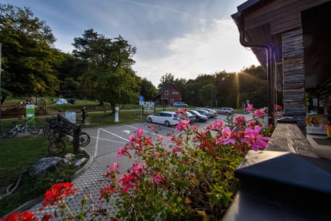 Natural landscape, Garden, Cycling, Parking