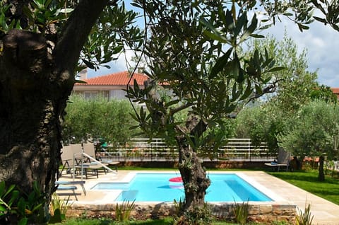 Property building, Garden, Pool view