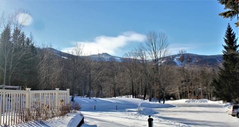 Centrally located two bedroom two bathroom Ski home Whiffletree I6 Maison in Mendon