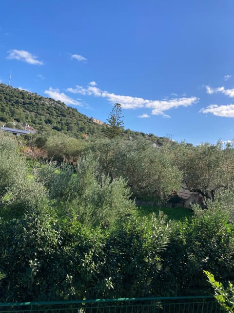 Garden view, Mountain view