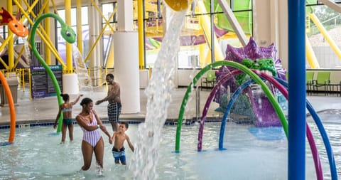 MT. OLYMPUS WATER PARK AND THEME PARK RESORT Hotel in Lake Delton