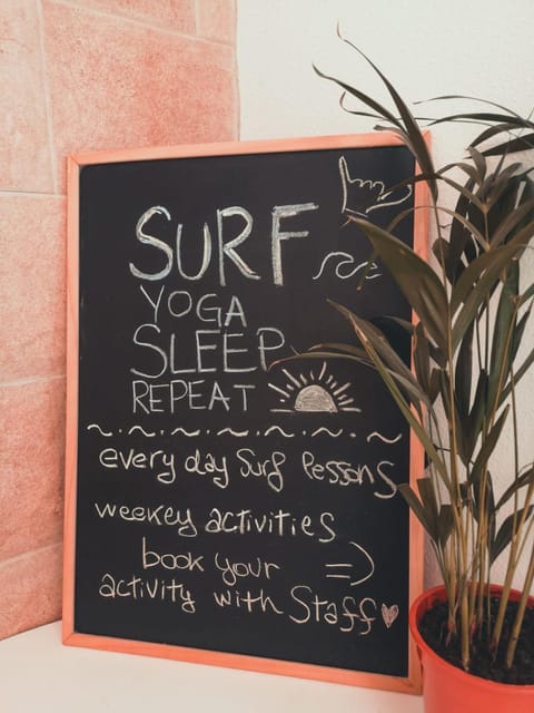 International Surf Camp ONLY SURF Hostel in Corralejo