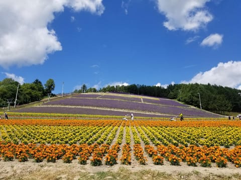 Nearby landmark, Natural landscape