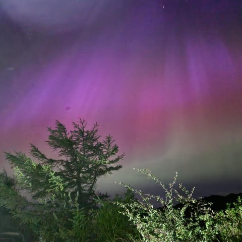 "Balmoral View" Apartment in Scotland