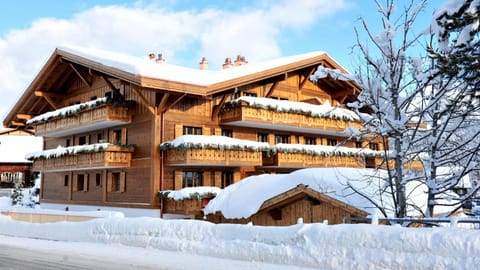 Hotel des Alpes Superieur Hotel in Saanen