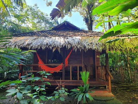 Cariblue Beach and Jungle Resort Hôtel in Panama