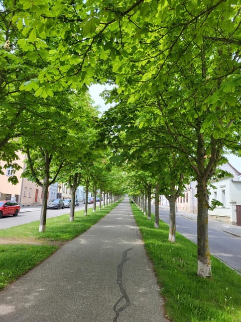 Alleeblick Apartment in Quedlinburg