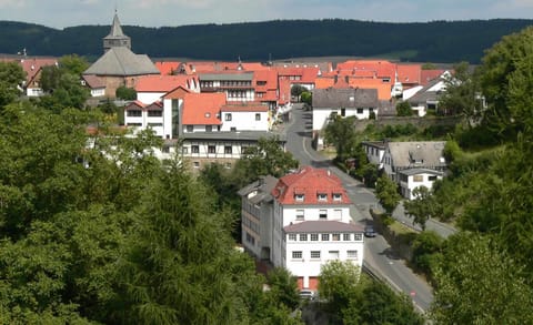 Nearby landmark, Bird's eye view, City view, Garden view, Landmark view, Mountain view