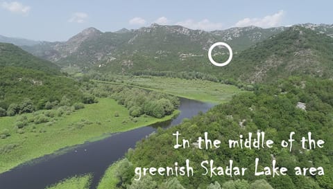 Skadar Lake Family Resort Bed and Breakfast in Podgorica Municipality, Montenegro