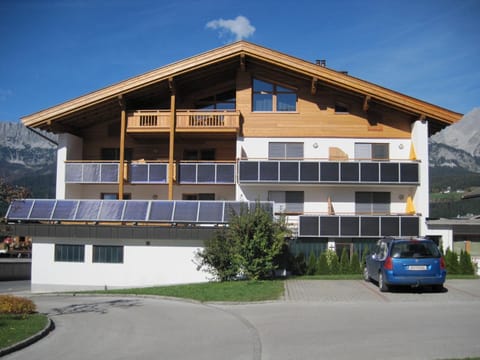 Property building, Day
