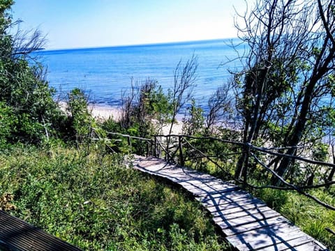 Natural landscape, Beach