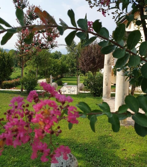 Property building, Garden