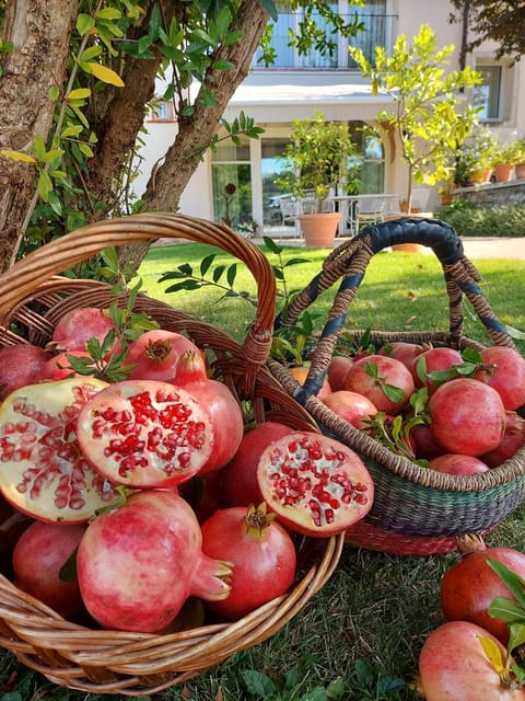 Agriturismo Relais Maddalene101 Farm Stay in Vicenza