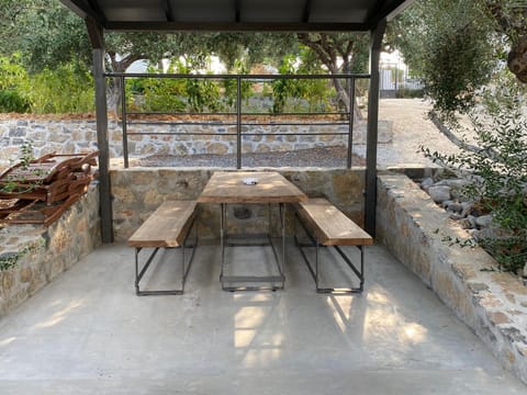 Natura Stone House House in Lasithi