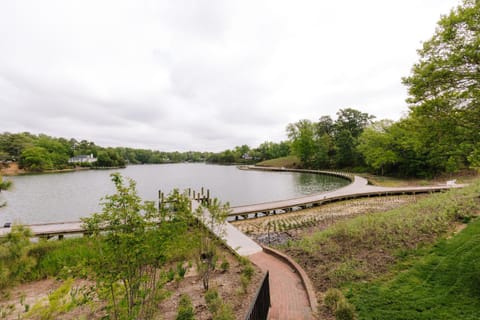 View (from property/room), River view