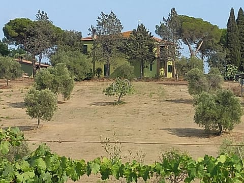 Property building, View (from property/room)