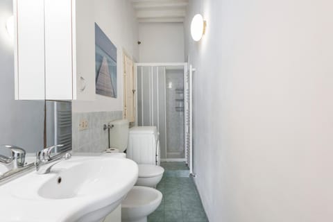 La Lupa Capitolina (100 meters from the tower) Apartment in Pisa