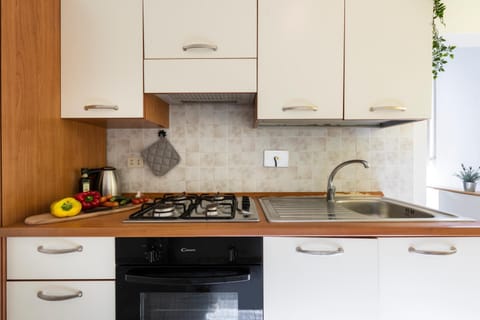 La Lupa Capitolina (100 meters from the tower) Apartment in Pisa