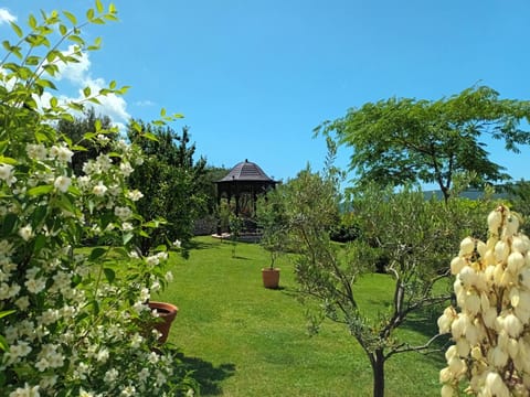 Villa Casa Belvedere near Dubrovnik Villa in Dubrovnik-Neretva County