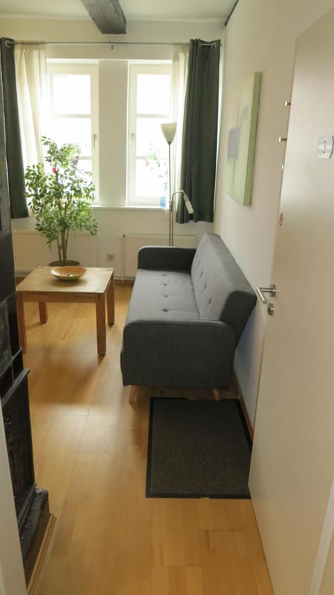 Apartment Brauner Hirsch Condo in Celle