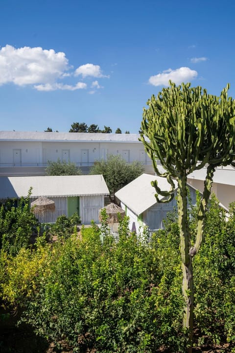 Property building, Summer, Garden