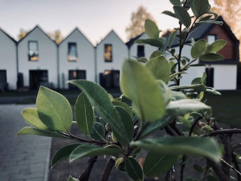 Property building, Garden, Garden view