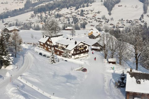Bird's eye view, Ski School, Skiing