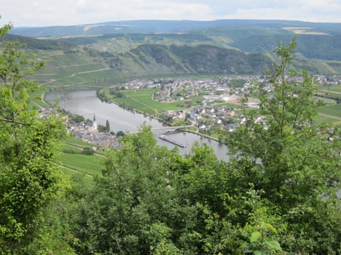 Natural landscape, Bird's eye view, River view