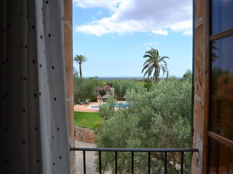 Pool view