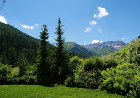 Summer, Garden, Balcony/Terrace
