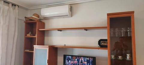 TV and multimedia, air conditioner