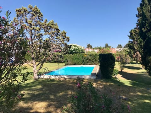 Garden, Swimming pool