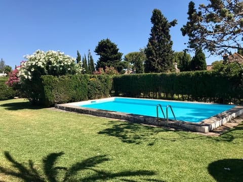 Garden, Swimming pool