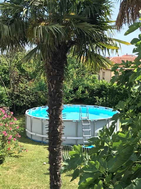 Garden, Pool view, Swimming pool, Swimming pool