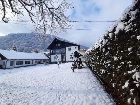 Day, Natural landscape, Winter