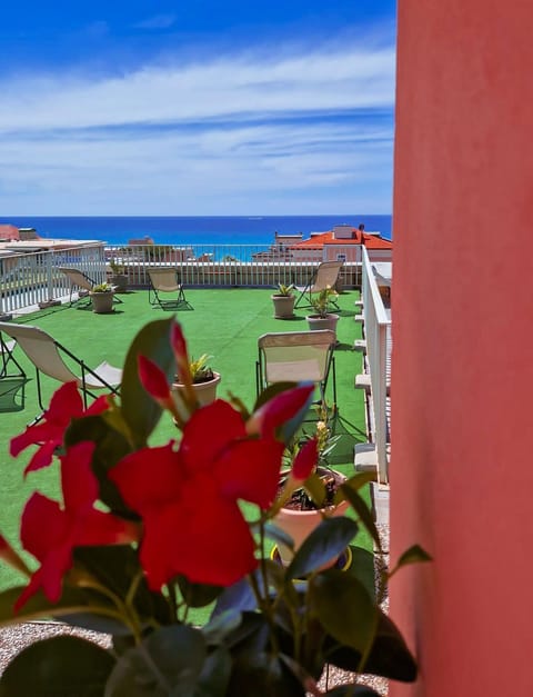 Bird's eye view, Solarium