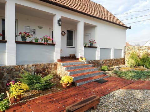 Casa Ago - Guest House Pensão in Timiș County