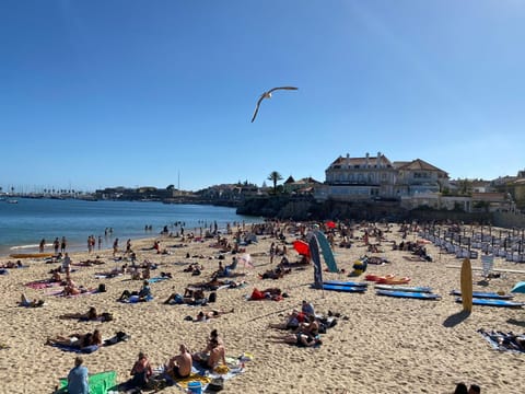 Nearby landmark, Day, People, Natural landscape, Beach, Sea view, group of guests