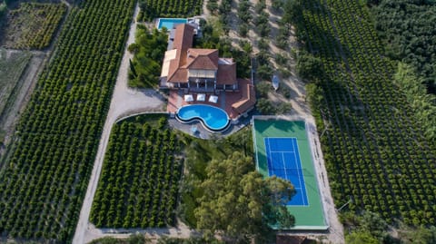 Property building, Garden, Tennis court, Tennis court