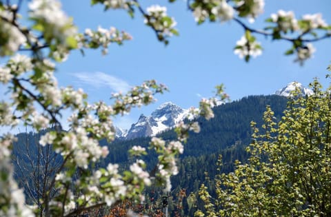 Landhaus Bergner Alm Eigentumswohnung in Zell am See