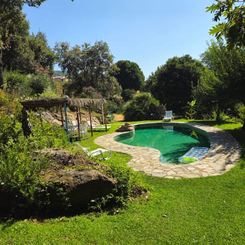 Pool view