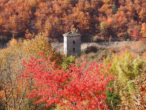 Property building, Natural landscape