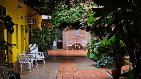 Patio, Garden, Garden view