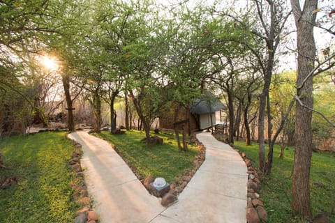 Masuwe Lodge Nature lodge in Zimbabwe