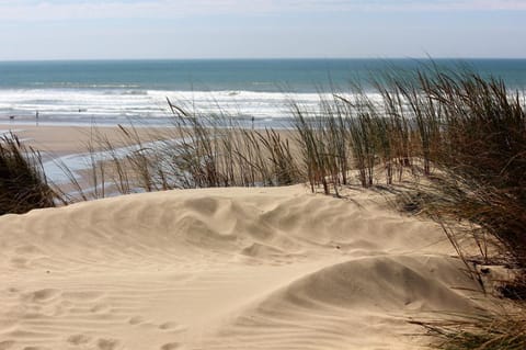 Nearby landmark, Off site, Natural landscape, Beach, Sea view