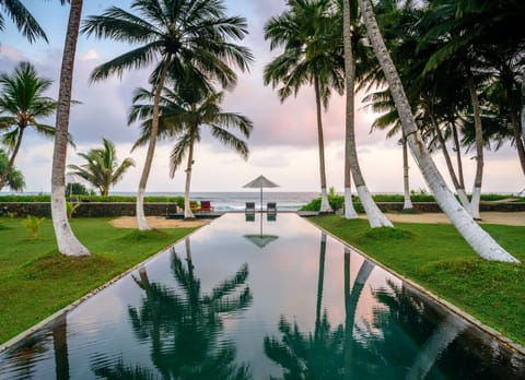 Garden, Sea view, Swimming pool, Sunset, sunbed