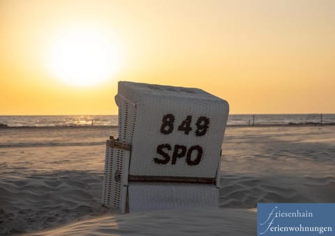 Friesenhain Ferienwohnungen Condo in Sankt Peter-Ording